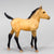 Sea Star ~ Chincoteague Foal, Buckskin