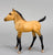 Sea Star ~ Chincoteague Foal, Buckskin