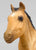 Sea Star ~ Chincoteague Foal, Buckskin