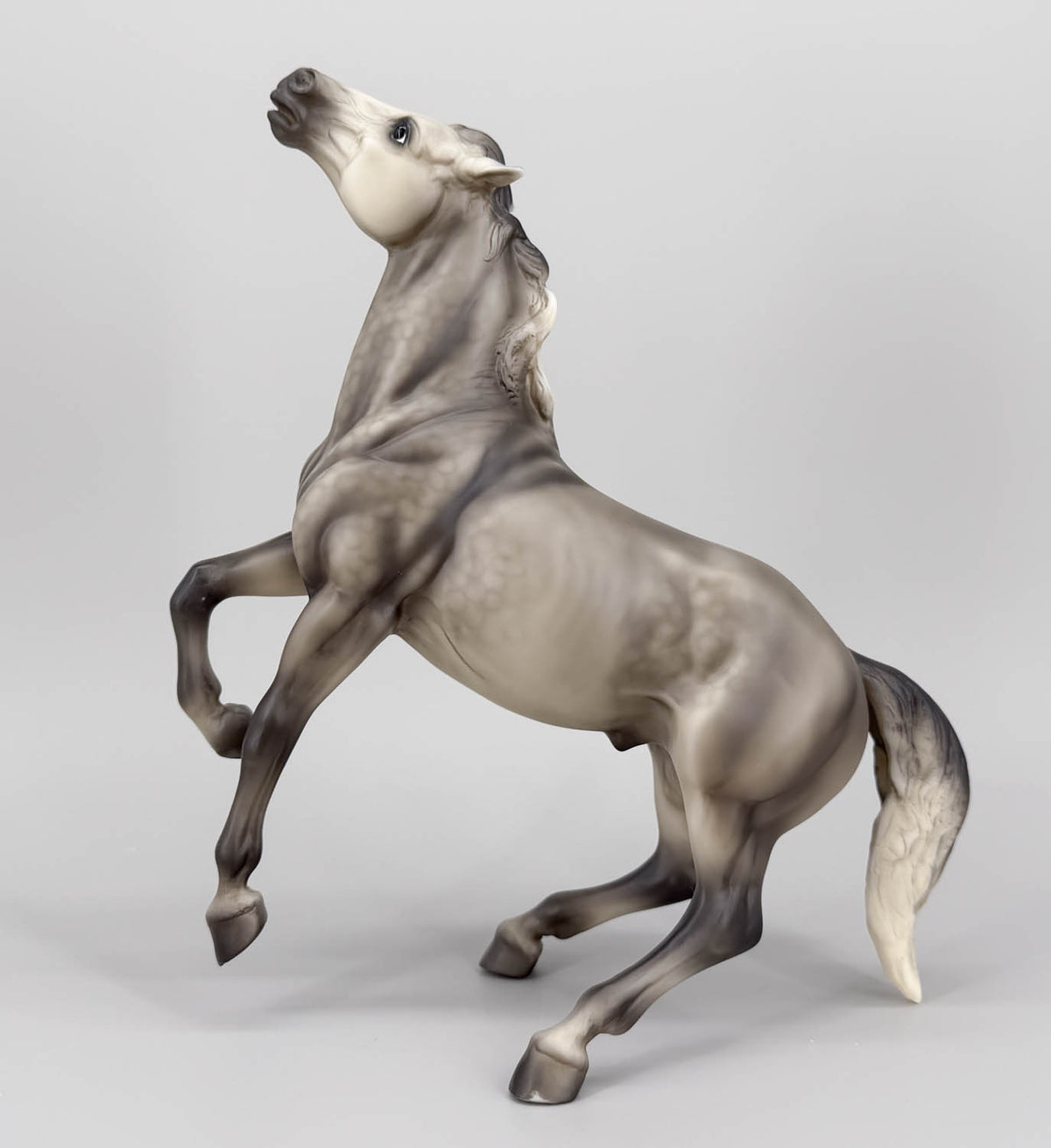 Semi-Rearing Mustang, Dapple Grey - Fun Foals Treasure Hunt