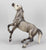Semi-Rearing Mustang, Dapple Grey - Fun Foals Treasure Hunt