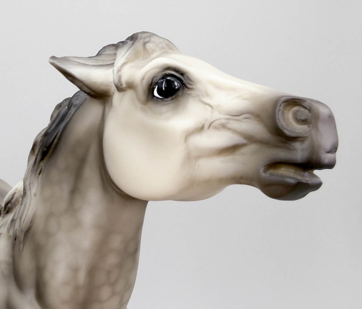 Semi-Rearing Mustang, Dapple Grey - Fun Foals Treasure Hunt