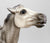 Semi-Rearing Mustang, Dapple Grey - Fun Foals Treasure Hunt