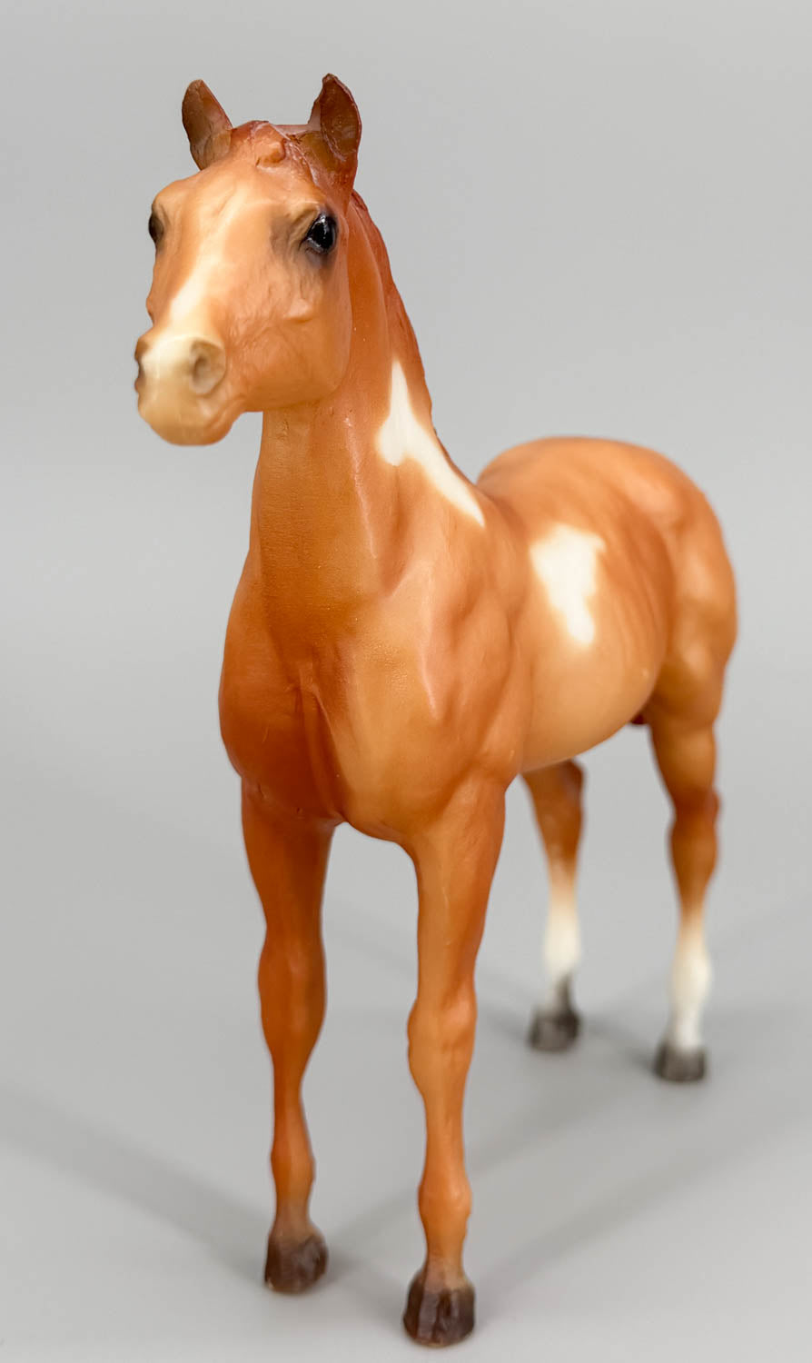 Standing Stock Horse Foal ~ Paint Horse Foal