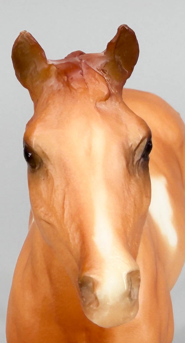 Standing Stock Horse Foal ~ Paint Horse Foal
