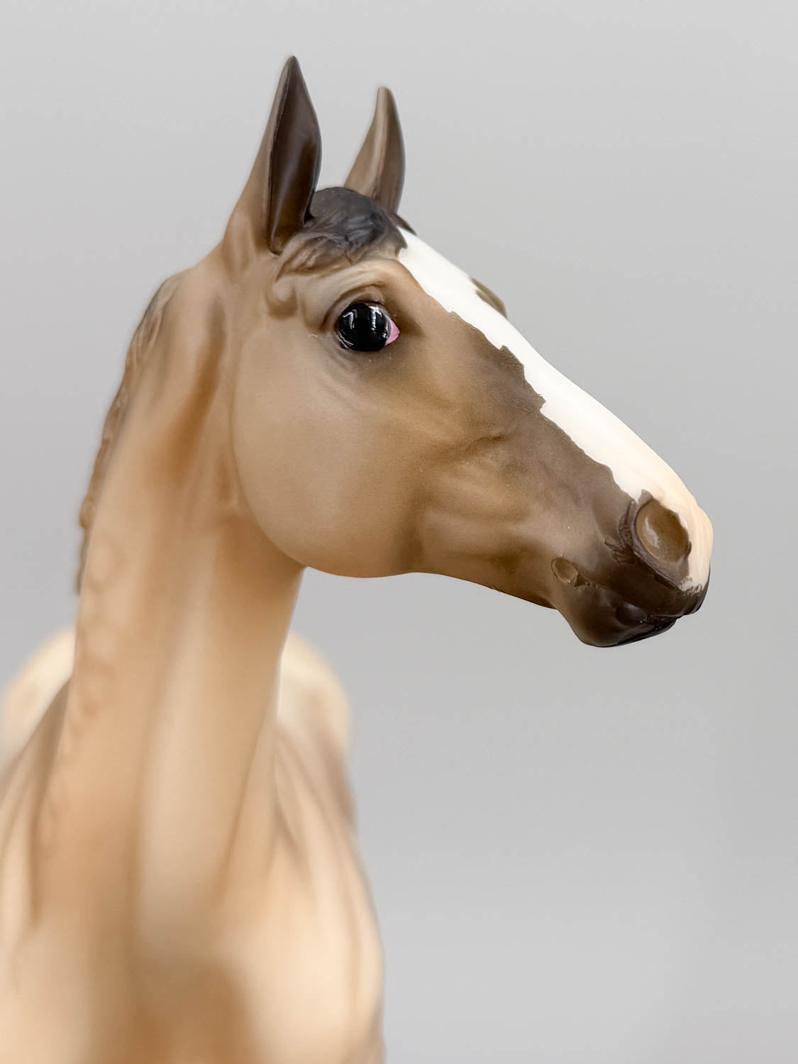 Standing Thoroughbred ~ Rocket - BreyerFest 2019 SR