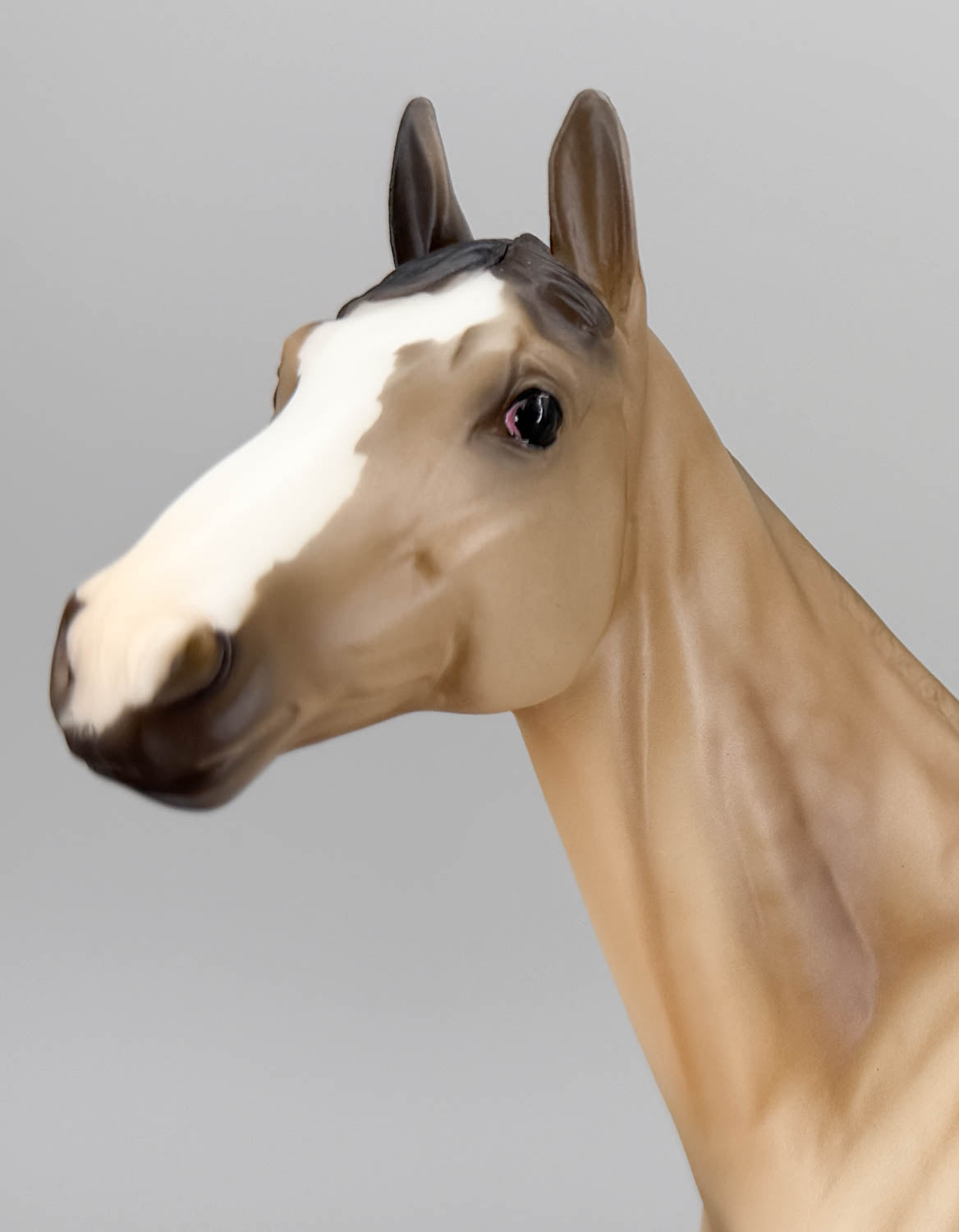 Standing Thoroughbred ~ Rocket - BreyerFest 2019 SR
