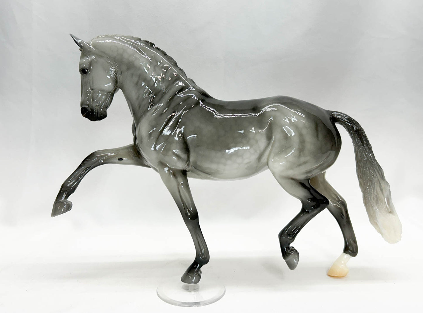 Totilas ~ Seize The Day Surprise, GLOSSY Dapple Grey - 2025 BreyerFest SR