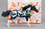American Quarter Horse Stallion ~ Screech - Halloween SR