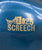 American Quarter Horse Stallion ~ Screech - Halloween SR
