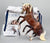 Rearing Andalusian Mare ~ Carmen - GLOSSY - 2026 Premier Club