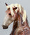 Rearing Andalusian Mare ~ Carmen - GLOSSY - 2026 Premier Club
