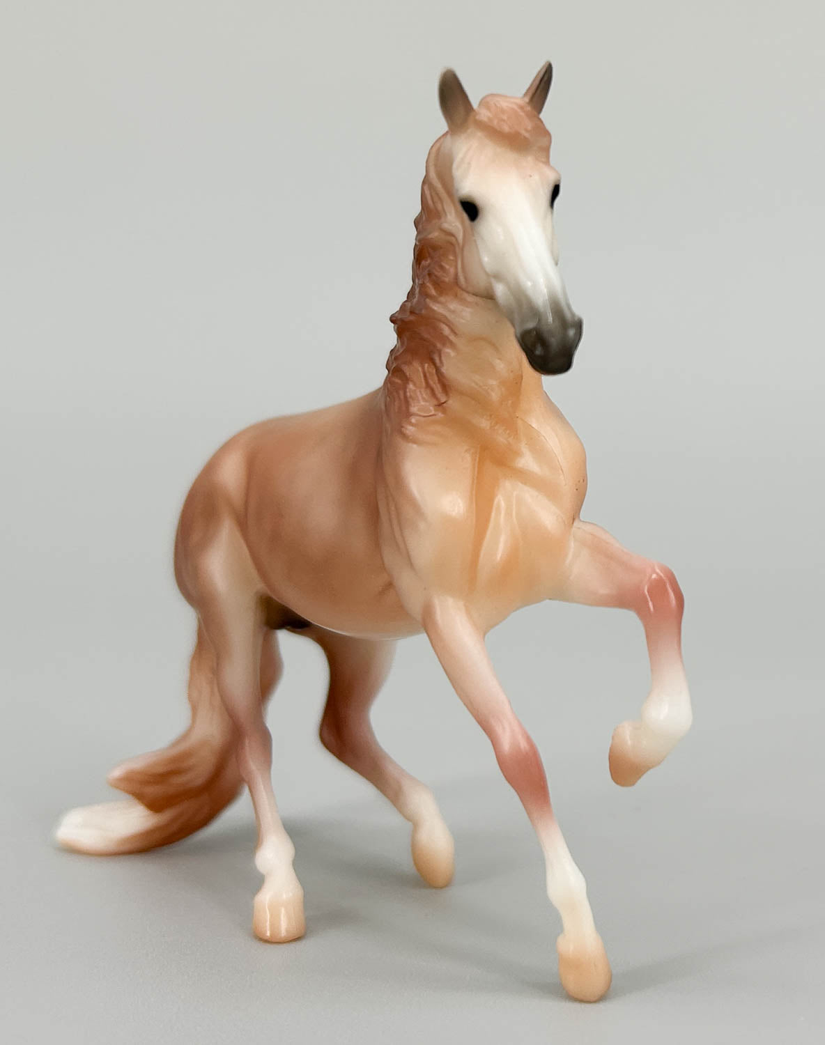 Alborozo ~ Valerio, Dappled Rose Grey - 2020 SM Club