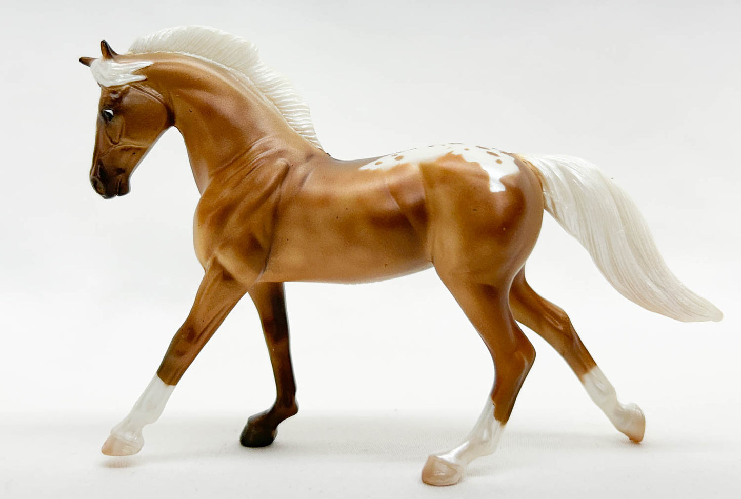 Cantering Warmblood, Palomino Appaloosa - JC Penney SR