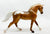 Cantering Warmblood, Palomino Appaloosa - JC Penney SR