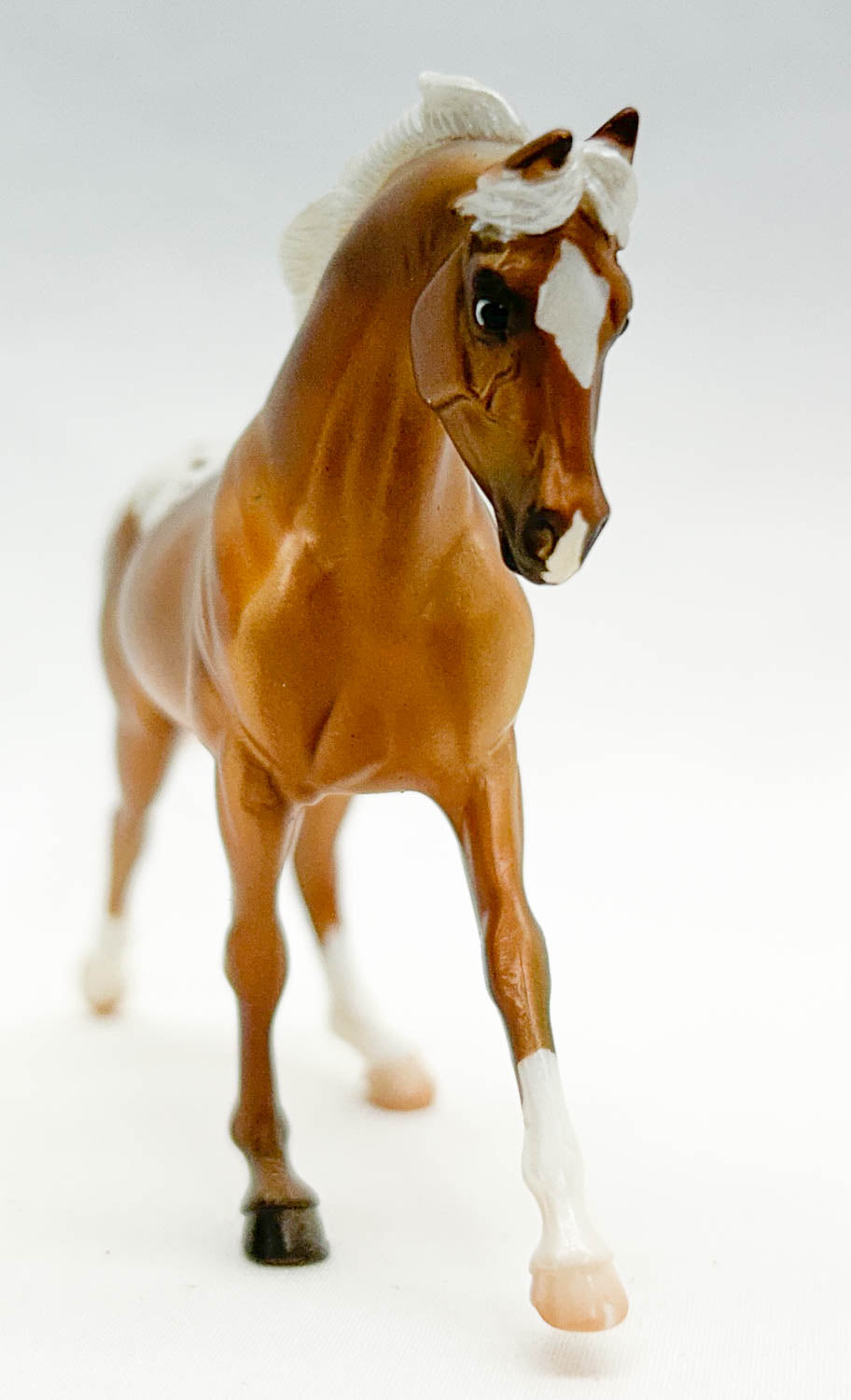 Cantering Warmblood, Palomino Appaloosa - JC Penney SR