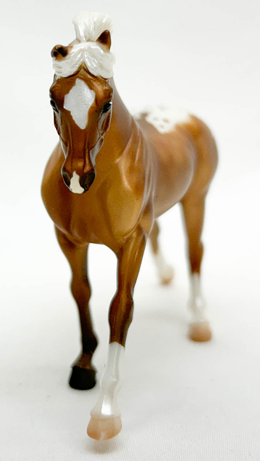 Cantering Warmblood, Palomino Appaloosa - JC Penney SR