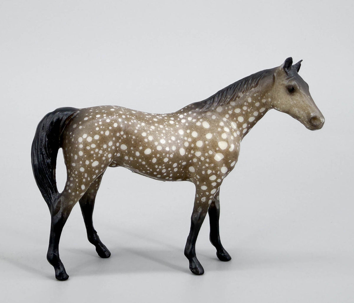Citation, Dapple Grey - Sears SR