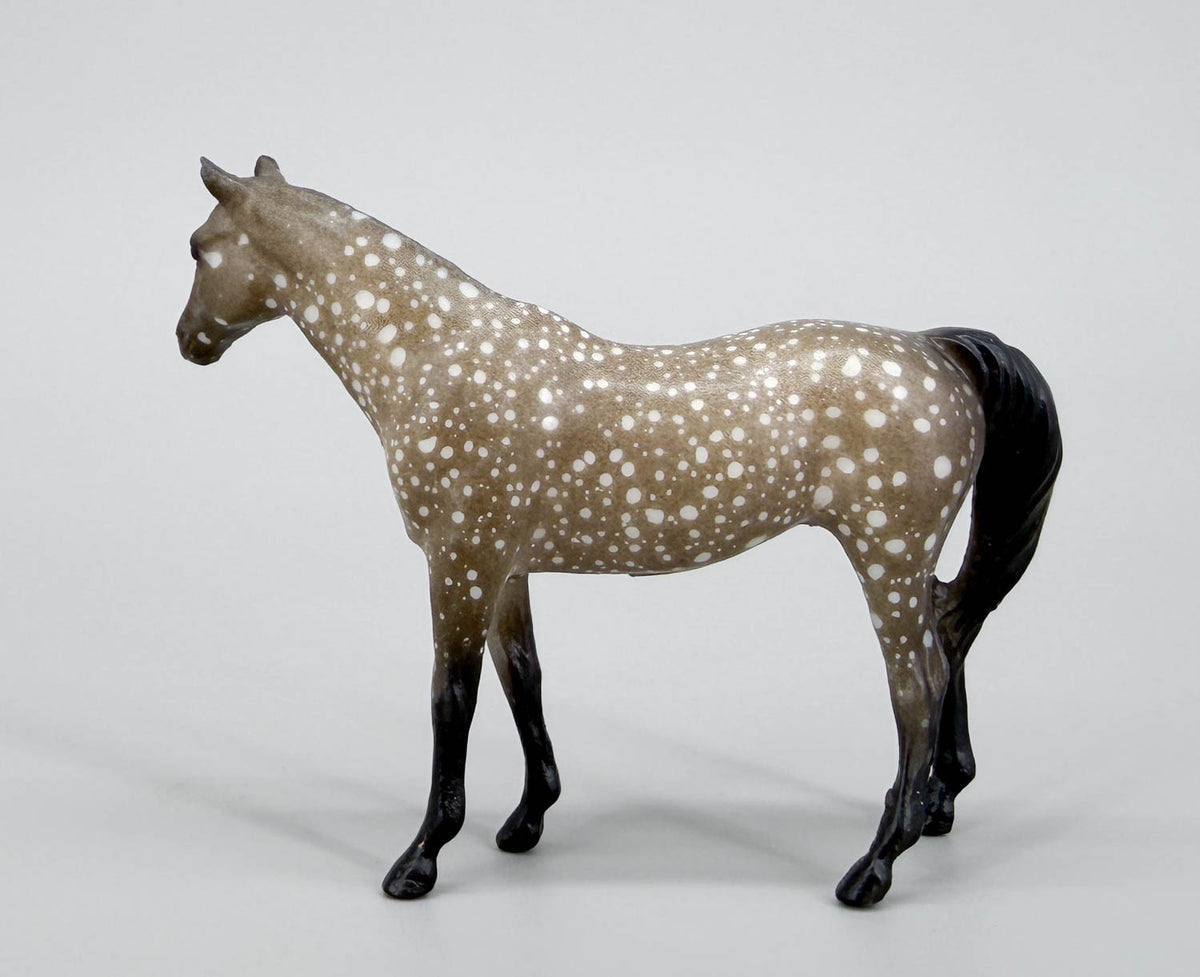 Citation, Dapple Grey - Sears SR