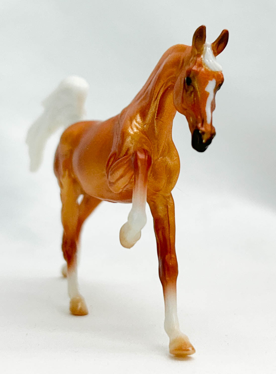 Darley, Palomino