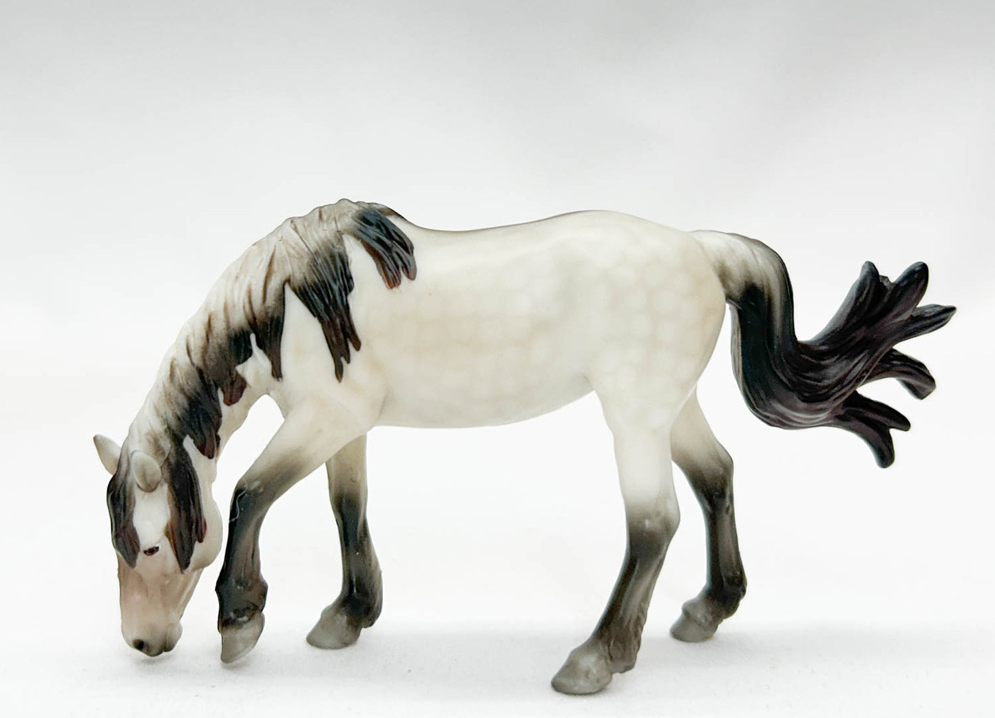 Grazing Mustang Mare ~ Isla - 2025 Premier Club SM