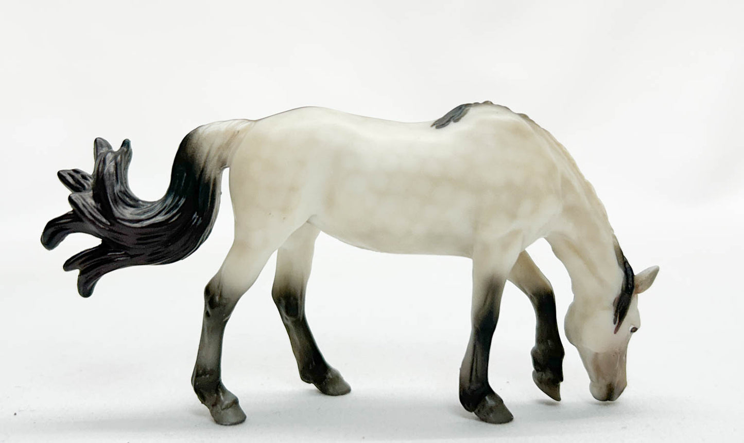 Grazing Mustang Mare ~ Isla - 2025 Premier Club SM