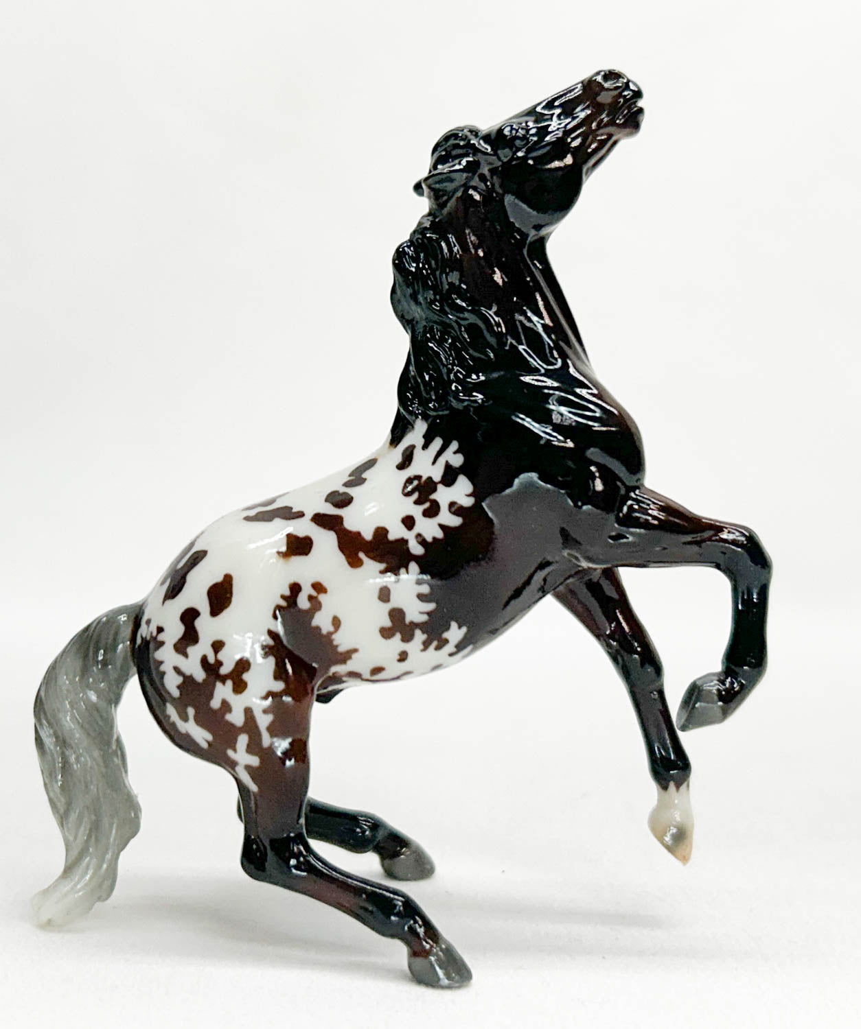 Semi-Rearing Mustang ~ Darius, Bay Appaloosa - Collector Club 2025 Bonus Model