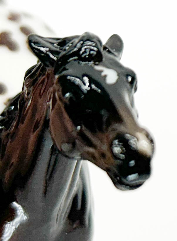 Semi-Rearing Mustang ~ Darius, Bay Appaloosa - Collector Club 2025 Bonus Model