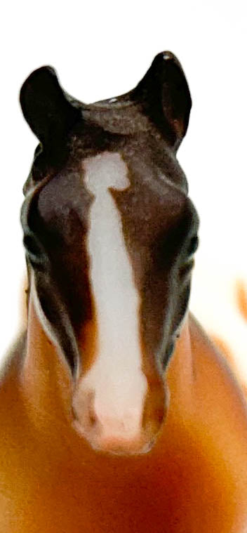 Silky Sullivan, Chestnut Appaloosa - from Hidalgo Set