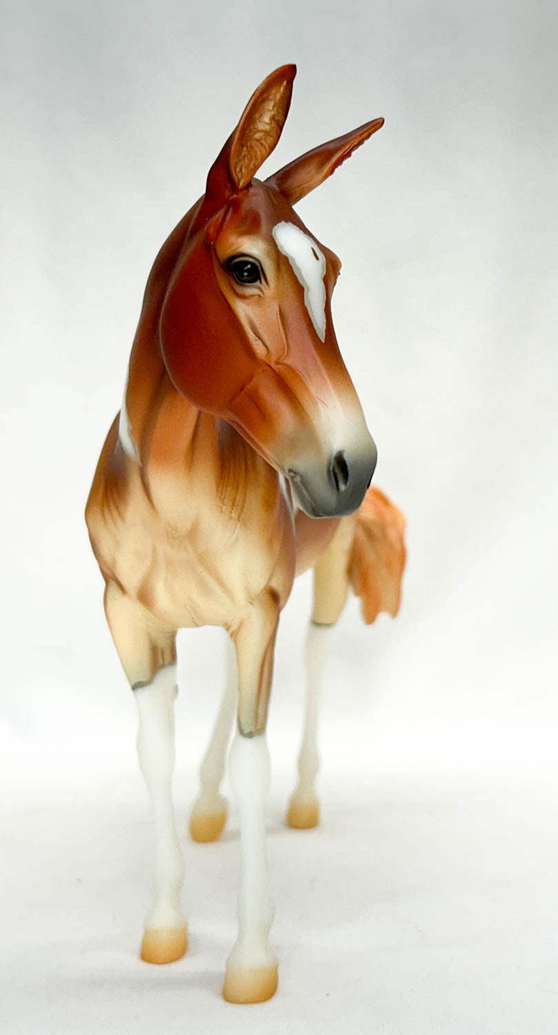 Standing Molly Mule ~ Winnifred - 2025 Premier Club