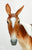 Standing Molly Mule ~ Winnifred - 2025 Premier Club