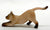 Stretching Cat, Tan Seal-Point Siamese