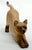 Stretching Cat, Tan Seal-Point Siamese