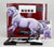 Trail of Painted Ponies ~ Storm Rider - First Edition
