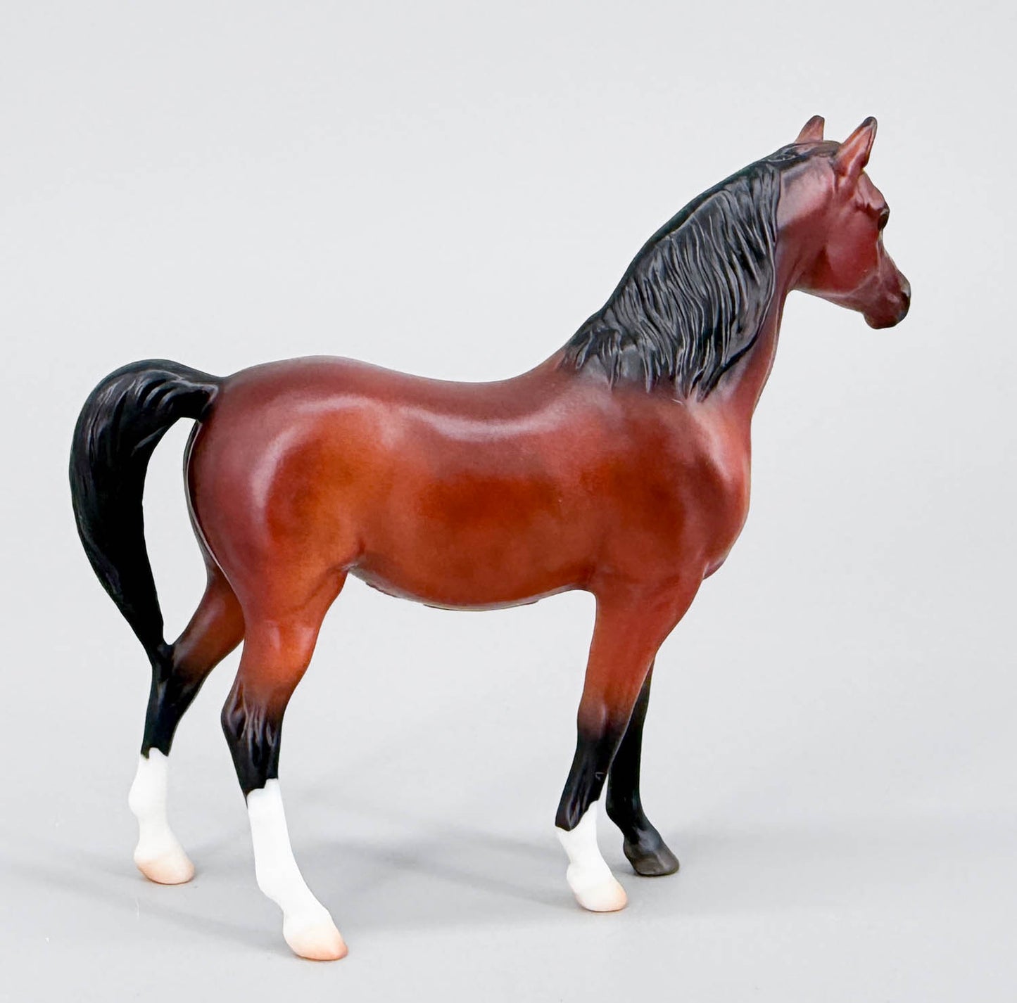 Standing Arabian Mare ~ Kiana - Collectors Club 2026