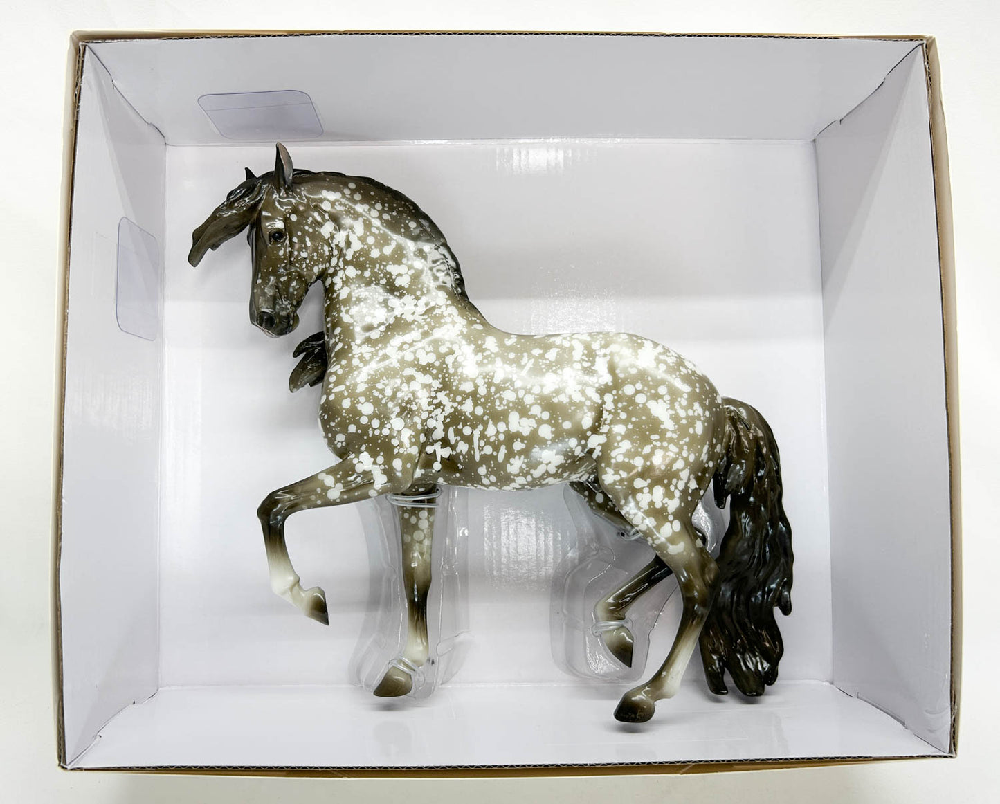 Ayyis Amazigh ~ Riah - 2025 Vintage Club