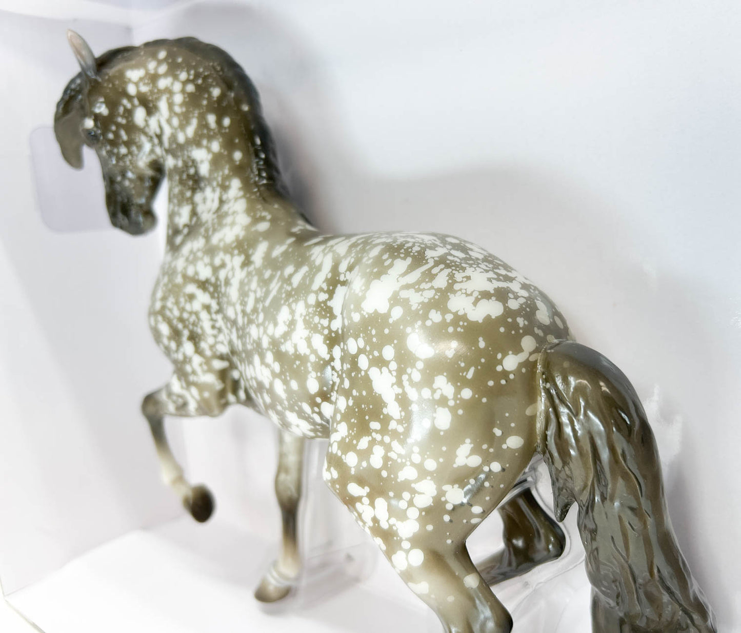 Ayyis Amazigh ~ Riah - 2025 Vintage Club