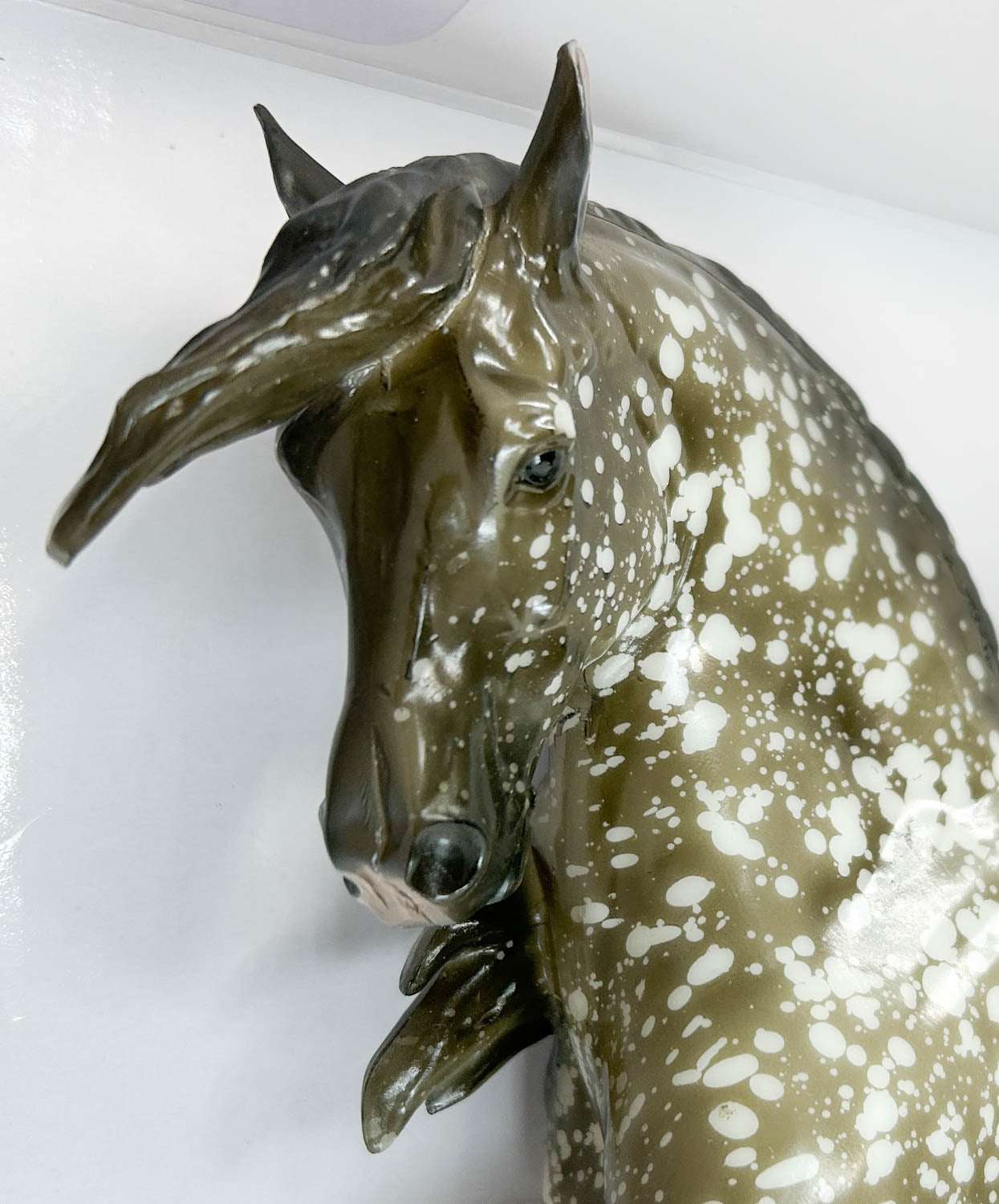 Ayyis Amazigh ~ Riah - 2025 Vintage Club