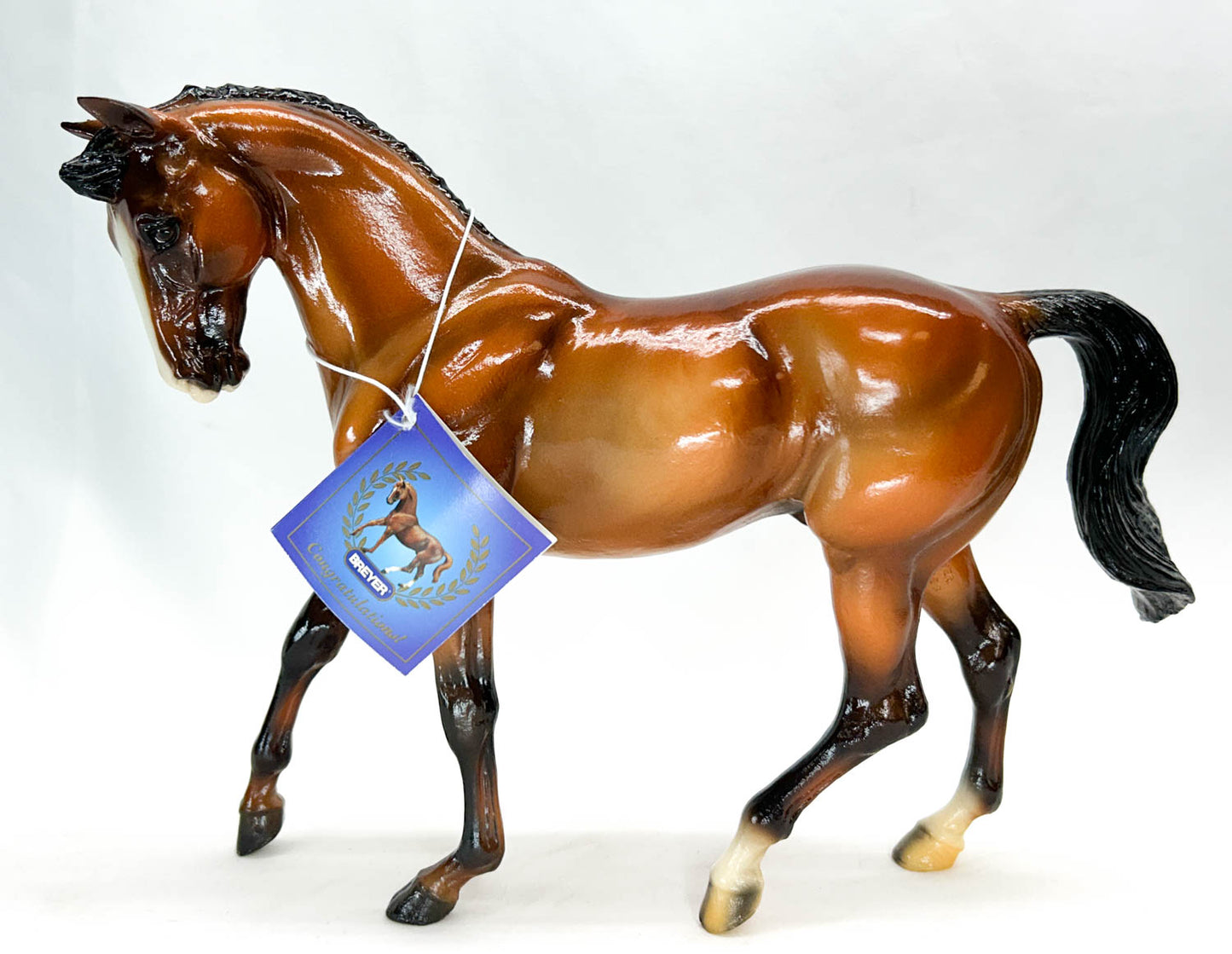 Big Ben ~ Hickstead - QVC SR