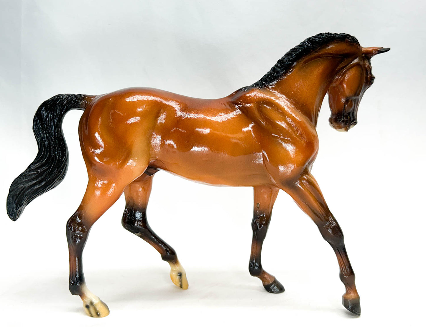 Big Ben ~ Hickstead - QVC SR