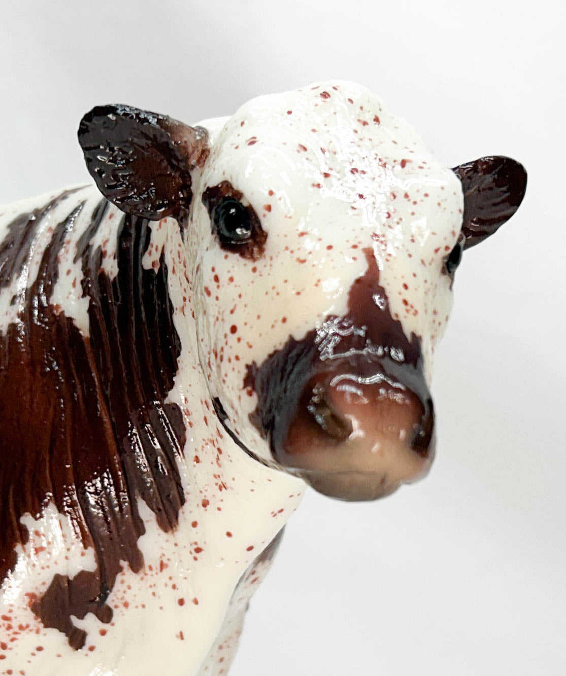 Black Angus Bull ~ Hamish - 2020 BreyerFest SR