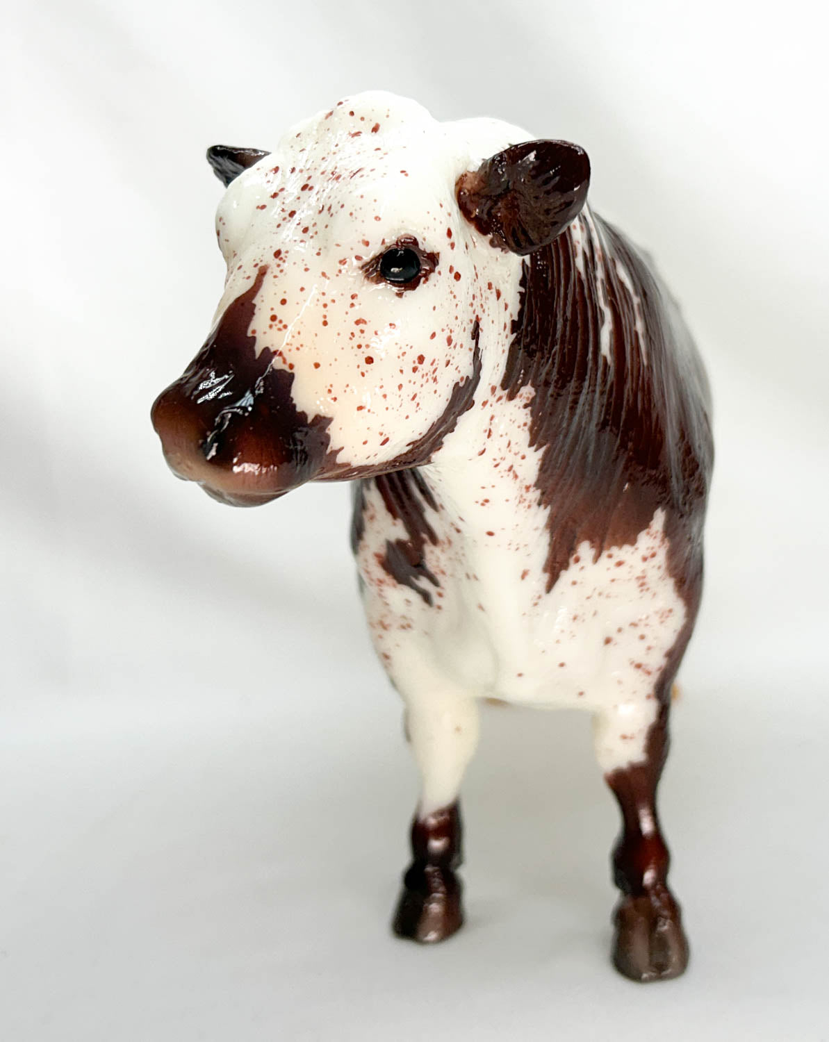 Black Angus Bull ~ Hamish - 2020 BreyerFest SR