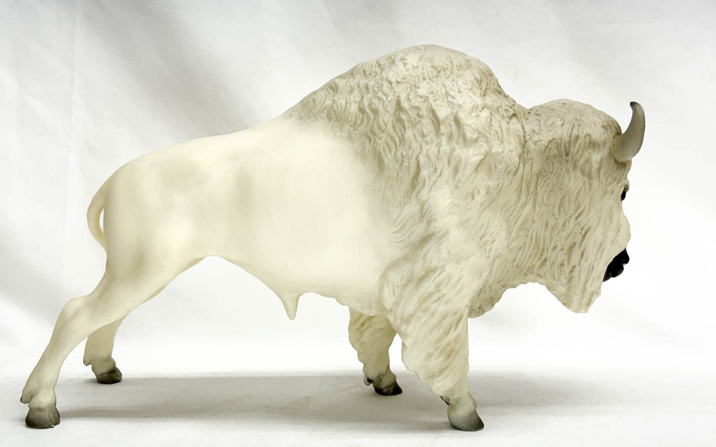 Buffalo ~ Tatanka, The White Buffalo