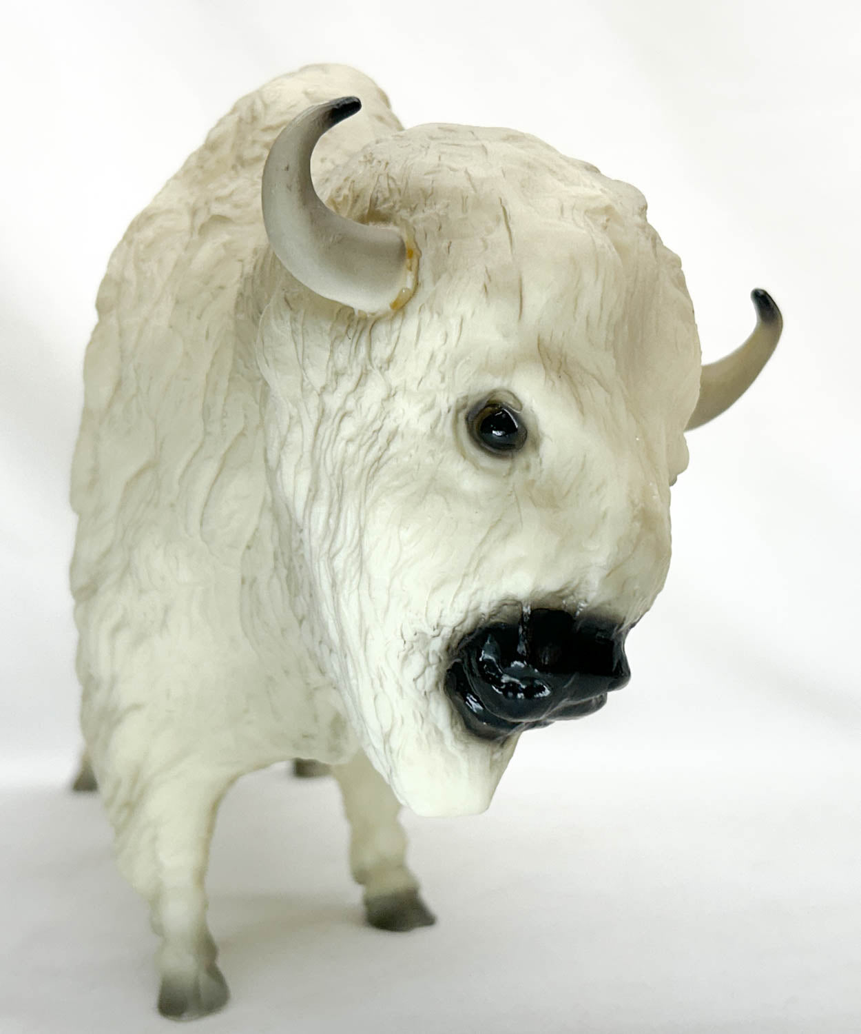 Buffalo ~ Tatanka, The White Buffalo