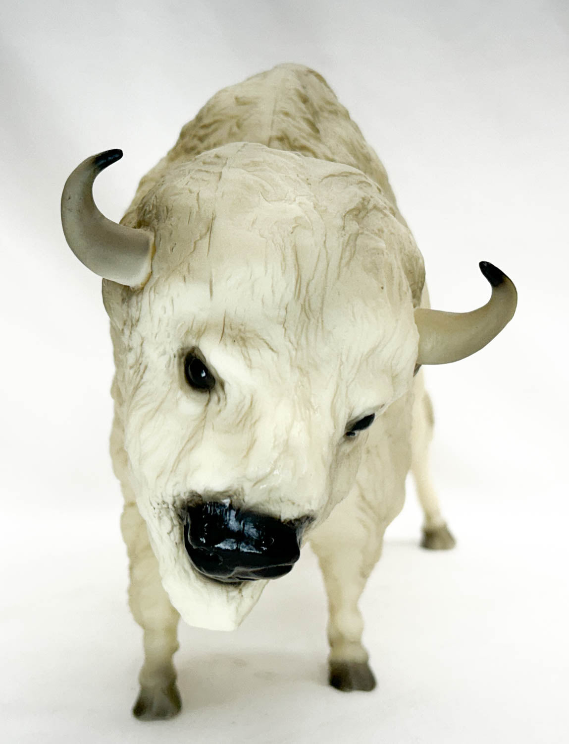Buffalo ~ Tatanka, The White Buffalo