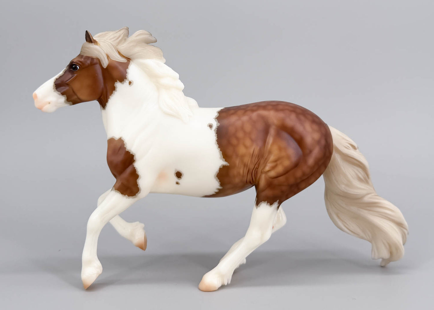 Cantering Shetland Pony ~ Waffles - 2026 Premier Club
