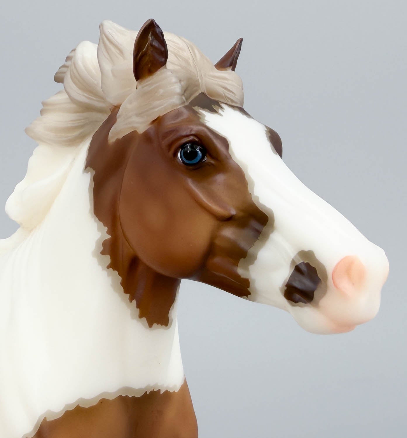 Cantering Shetland Pony ~ Waffles - 2026 Premier Club