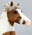 Cantering Shetland Pony ~ Waffles - 2026 Premier Club