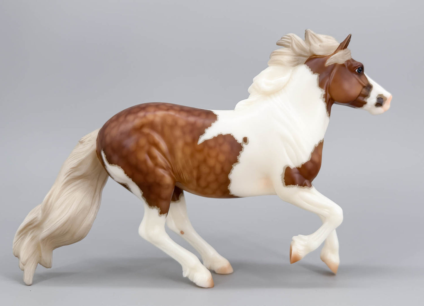 Cantering Shetland Pony ~ Waffles - 2026 Premier Club