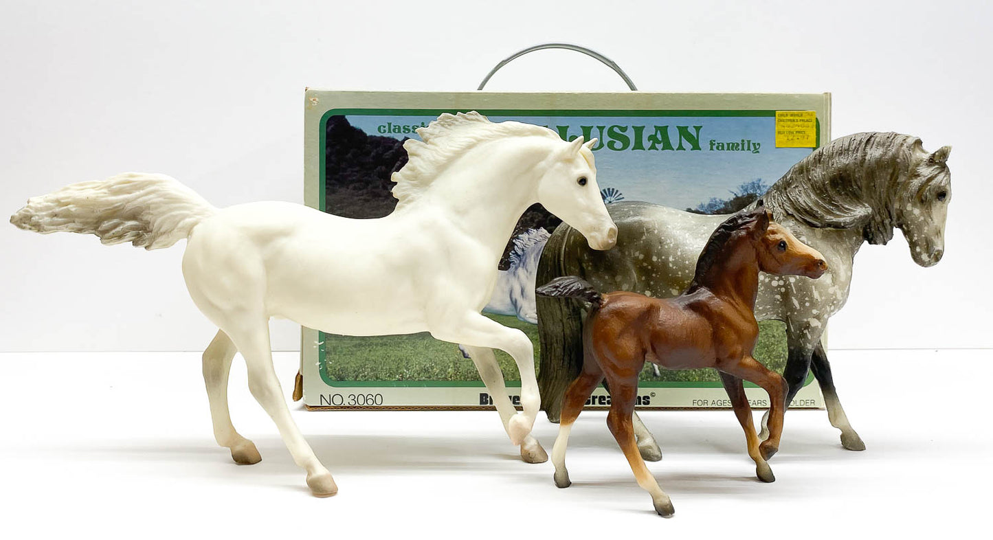 Andalusian Family - Original Release with / Carry Case